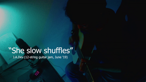 “She Slow Shuffles” (12 string-guitar)